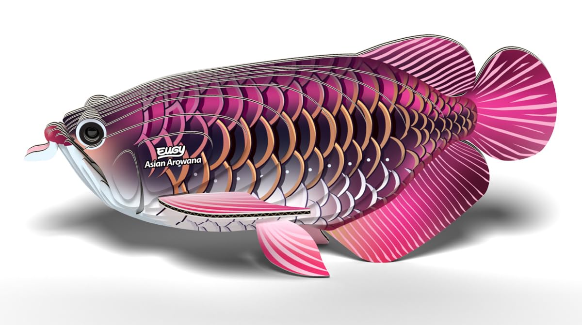 Amazon.com: Eugy Asian Arowana 3D Puzzle - 24 Piece Eco-Friendly